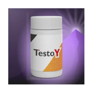 Testoy