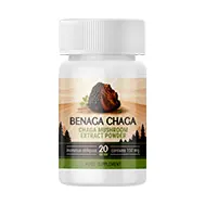 Benaga Chaga